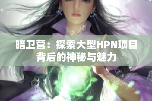 暗卫营：探索大型HPN项目背后的神秘与魅力