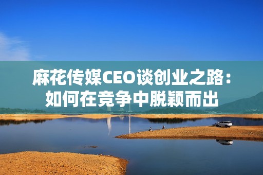 麻花传媒CEO谈创业之路：如何在竞争中脱颖而出