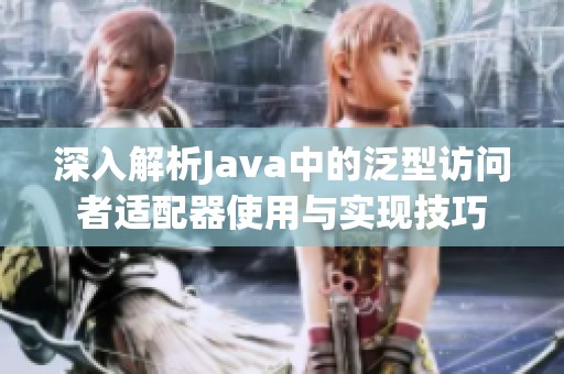 深入解析Java中的泛型访问者适配器使用与实现技巧