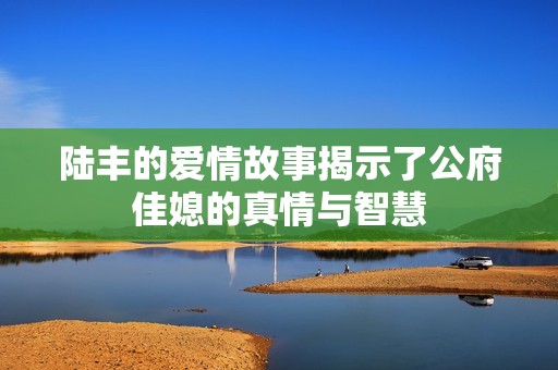 陆丰的爱情故事揭示了公府佳媳的真情与智慧