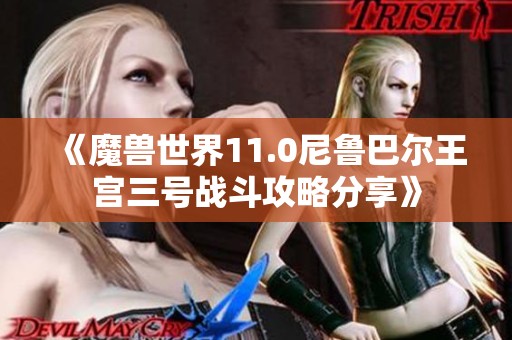 《魔兽世界11.0尼鲁巴尔王宫三号战斗攻略分享》