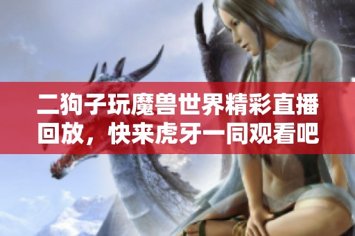 二狗子玩魔兽世界精彩直播回放，快来虎牙一同观看吧