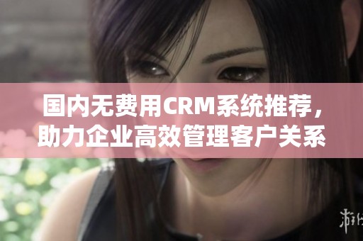 国内无费用CRM系统推荐，助力企业高效管理客户关系