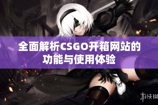 全面解析CSGO开箱网站的功能与使用体验