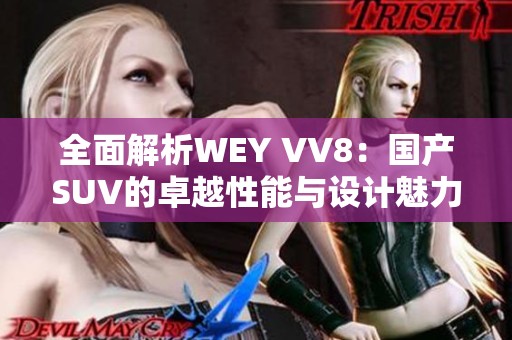 全面解析WEY VV8：国产SUV的卓越性能与设计魅力