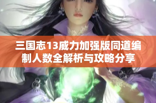 三国志13威力加强版同道编制人数全解析与攻略分享