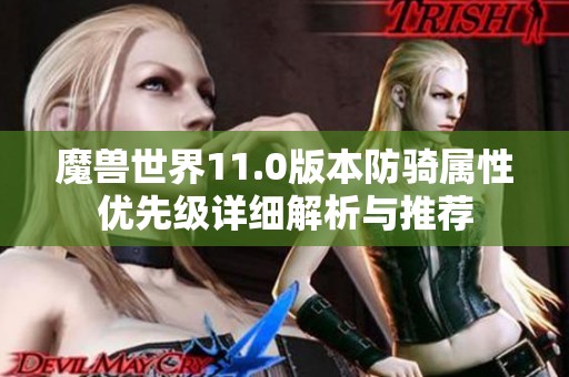 魔兽世界11.0版本防骑属性优先级详细解析与推荐