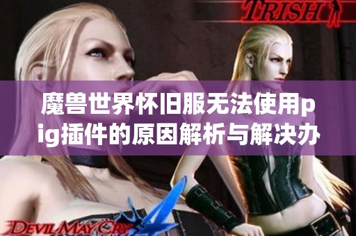 魔兽世界怀旧服无法使用pig插件的原因解析与解决办法