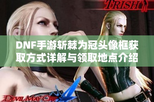 DNF手游斩棘为冠头像框获取方式详解与领取地点介绍