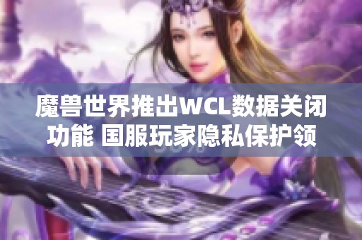 魔兽世界推出WCL数据关闭功能 国服玩家隐私保护领先全球