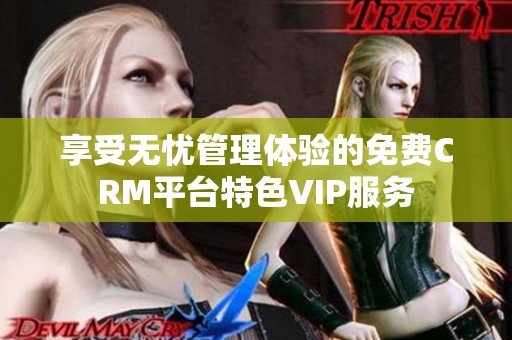 享受无忧管理体验的免费CRM平台特色VIP服务