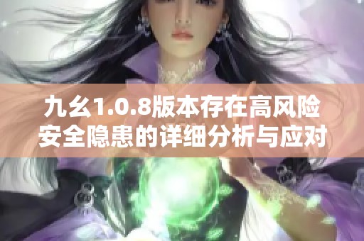 九幺1.0.8版本存在高风险安全隐患的详细分析与应对措施