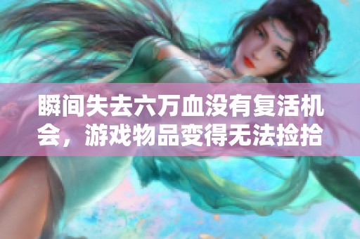 瞬间失去六万血没有复活机会，游戏物品变得无法捡拾