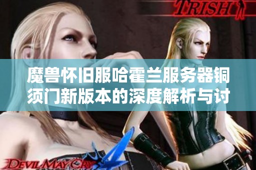 魔兽怀旧服哈霍兰服务器铜须门新版本的深度解析与讨论