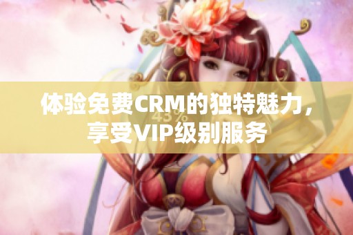 体验免费CRM的独特魅力，享受VIP级别服务