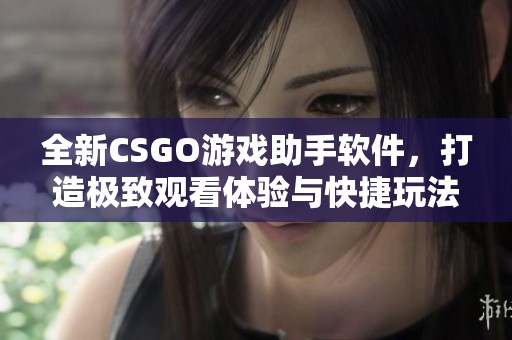 全新CSGO游戏助手软件，打造极致观看体验与快捷玩法