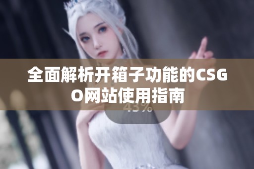 全面解析开箱子功能的CSGO网站使用指南