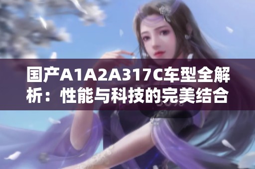 国产A1A2A317C车型全解析：性能与科技的完美结合