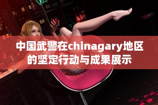 中国武警在chinagary地区的坚定行动与成果展示