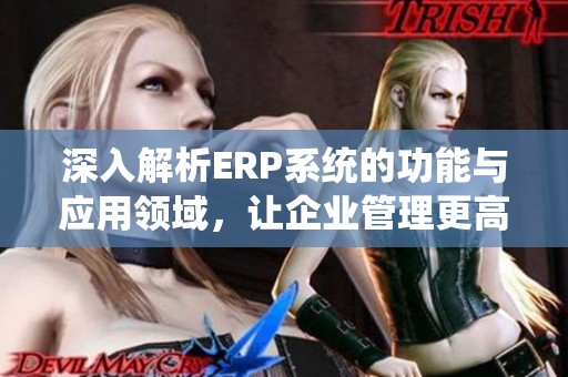 深入解析ERP系统的功能与应用领域，让企业管理更高效