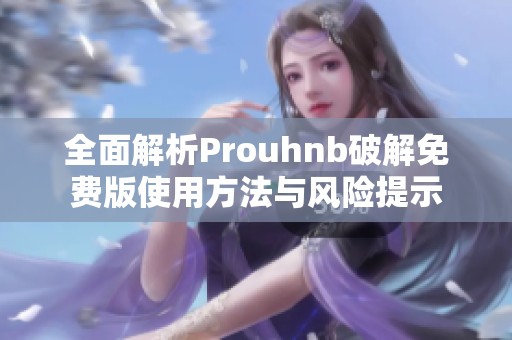 全面解析Prouhnb破解免费版使用方法与风险提示