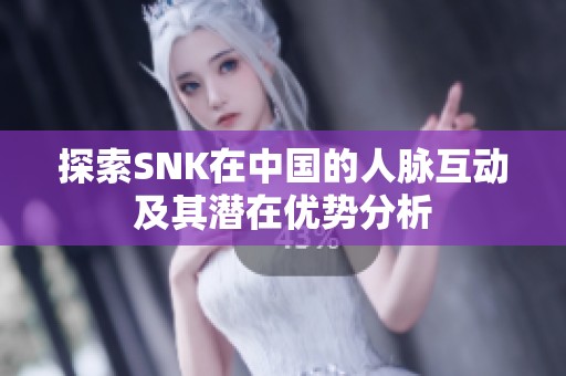 探索SNK在中国的人脉互动及其潜在优势分析