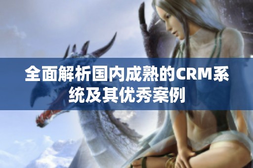 全面解析国内成熟的CRM系统及其优秀案例