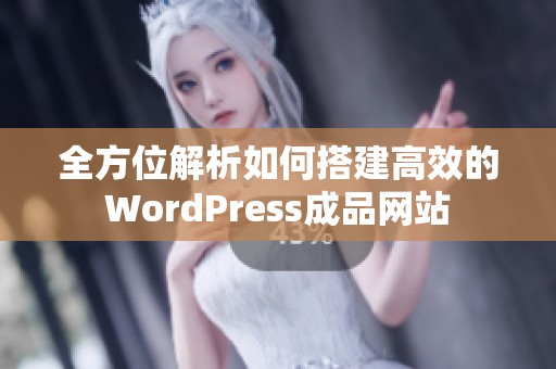 全方位解析如何搭建高效的WordPress成品网站