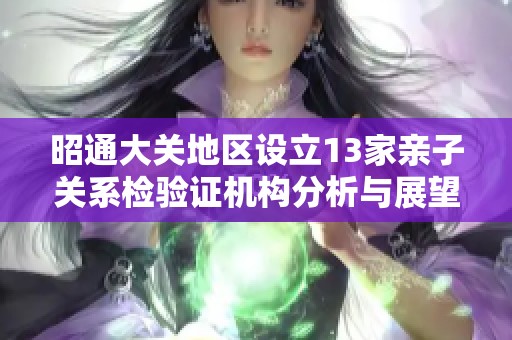 昭通大关地区设立13家亲子关系检验证机构分析与展望