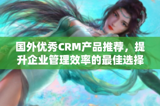 国外优秀CRM产品推荐，提升企业管理效率的最佳选择