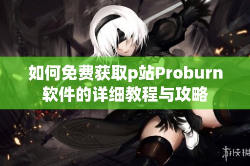 如何免费获取p站Proburn软件的详细教程与攻略